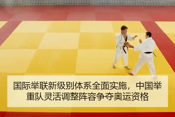 guo-ji-ju-lian-xin-ji-bie-ti-xi-quan-mian-shi-shi-zhong-guo-ju-zhong-dui-ling-huo-tiao-zheng-zhen-rong-zheng-duo-ao-yun-2-287.jpg