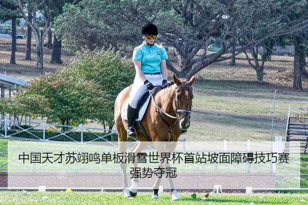 中国天才苏翊鸣单板滑雪世界杯首站坡面障碍技巧赛强势夺冠